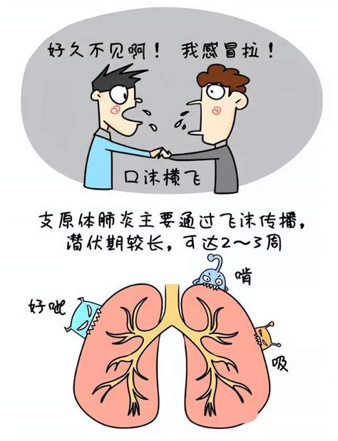 易被误诊、漏诊的支原体肺炎需警惕！ 江西省胸科医院