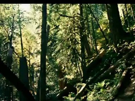 Into The Wild Bande Annonce Vf Vidéo Dailymotion