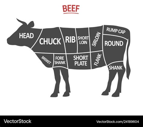 Cuts Of Beef Poster Butcher Diagram Cow Royalty Free Vector