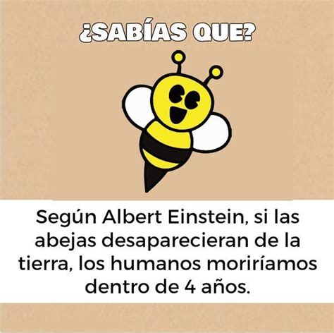 👈🏽sabías Qué Curious Facts Fun Facts Facts