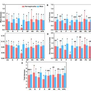 Effects Of Different Fertilization Treatments On The Biomass Of Lilium