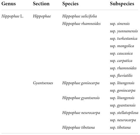 Frontiers Phytochemistry Health Benefits And Food Applications Of Sea Buckthorn Hippophae