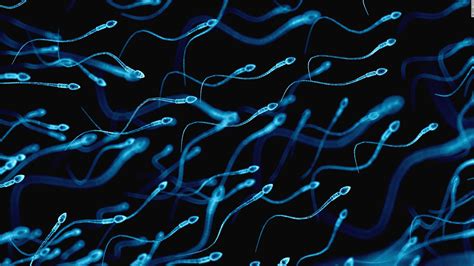 Sperm Diet 2 Telegraph