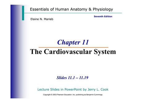 Chapter 11 Cardio Ppt Pdf