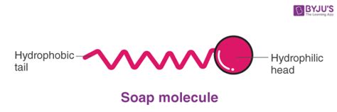 Soap Molecule Structure