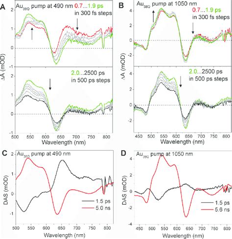 Time Evolution Of Femtosecond Transient Absorption Spectra Of Au 38Q