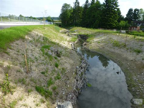 Landschaftspflegerische Begleitplanung LBP Ilu AG