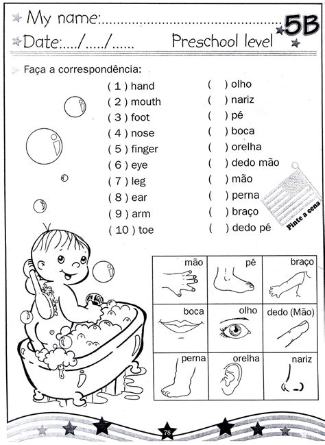 Atividade Partes Do Corpo Em Ingles REVOEDUCA