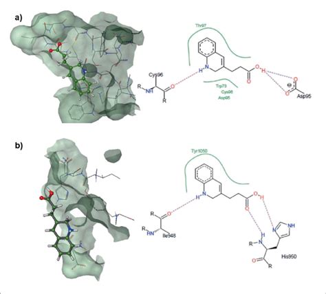 A Molecular Docking Between The Receptor Ligand And The Interaction