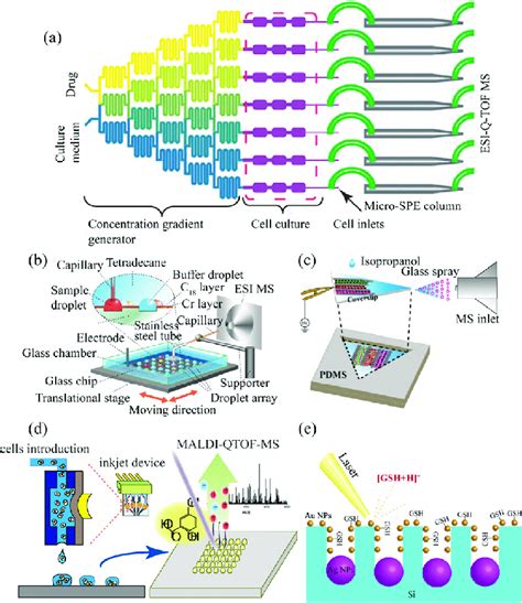 Different Interfaces Between Microfluidic Chip And Ms Detector A The