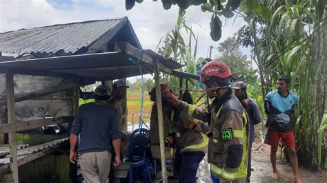 Pemkab Si Jago Merah Hanguskan Rumah Hingga Sepeda Di Kecamatan Gambut