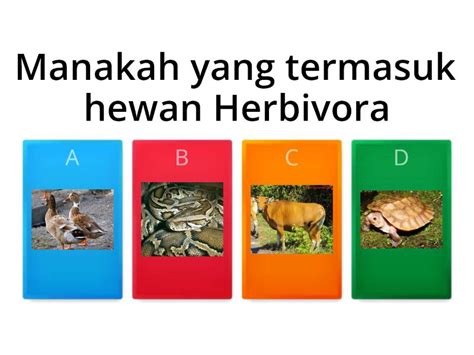 Penggolongan Hewan Berdasarkan Makanannya Quiz