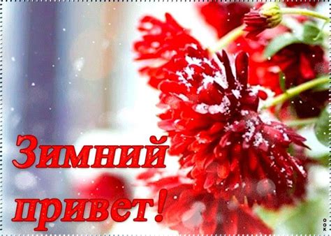 Pin de Марина К em открытки