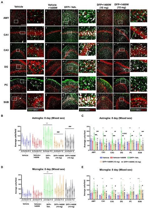 Frontiers 1400 W A Selective Inducible Nitric Oxide Synthase