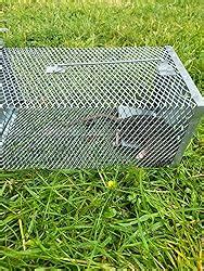 RatKil Live Rat Cage Trap Humane Mouse Traps Rat Traps All