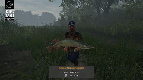 Fishing Planet Unikatowy Szczupak Muskie Go E Jezioro Michigan