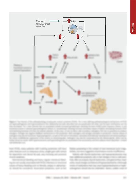 Solution Diagnosis And Management Of Polycystic Ovarian Syndrome