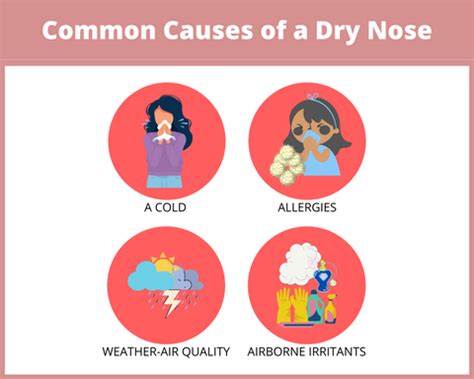 Dry Nose: Causes, Symptoms, and Treatments