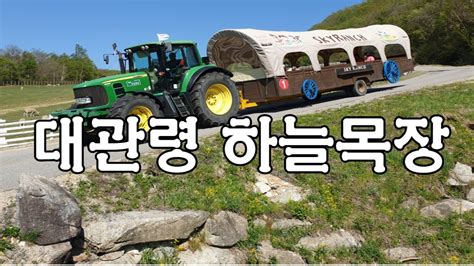 평창가볼만한곳 평창 대관령 하늘목장 Youtube