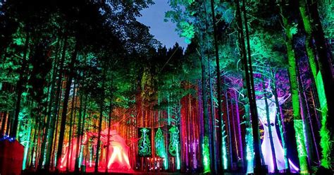 Electric Forest Music Festival Rothbury Michigan Imgur