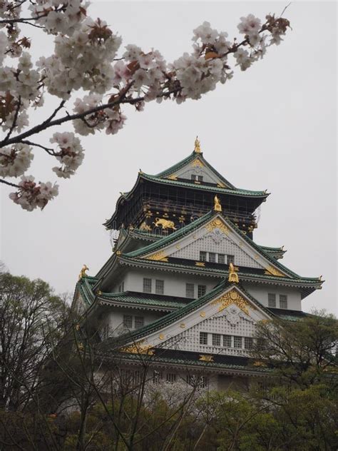 Osaka Castle With Sakura Stock Image Image Of Sakura 86387731