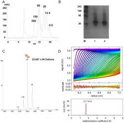 A Size Exclusion Chromatography Of CCD3 CCD3 Red Trace Blue