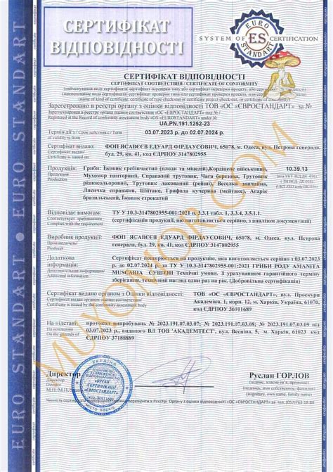 Купити Червоний мухомор капелюшки (сушений) в Україні. Мікродозинг ...