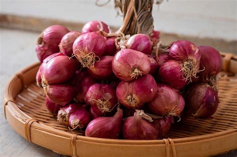 Update Harga Bawang Merah Hari Ini September Pasar Di Jakarta