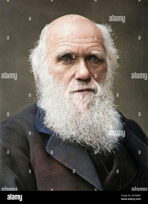 The English Naturalist Charles Robert Darwin 1809 1882 Stock Photo Alamy