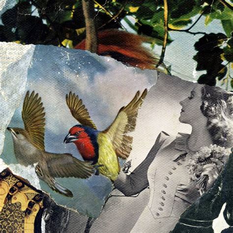 Metamorphosis No 6 Collage By Thomas Terceira Saatchi Art