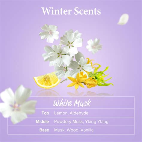 Kundal Dandruff Shampoo White Musk 500ml Beauty Box