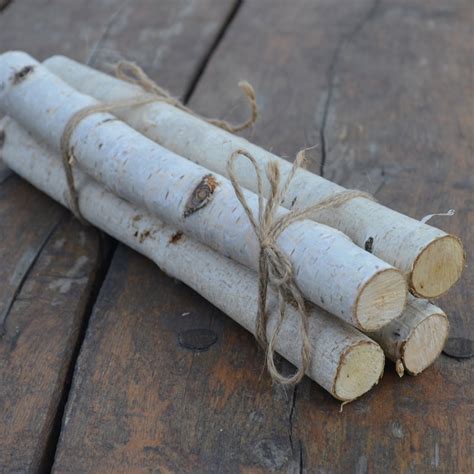 White Birch Logs Etsy