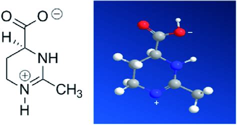 Molecular structure of ectoine | Download Scientific Diagram