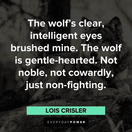 Wolf Quotes, Sayings and Proverbs Celebrating Your Instinct – Daily ...