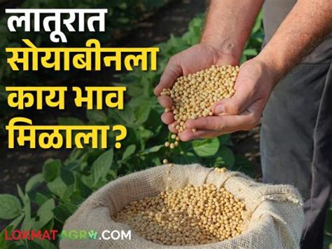 Soybean Market केवळ याच बाजार समितीत सोयाबीनला हमीभाव आज कुठे काय दर मिळाला Latest News