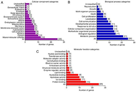 Gene Ontology Categories Of The Identified Proteins Proteins Were Download Scientific Diagram