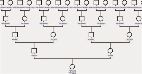 Plantilla Excel Para Arbol Genealogico Charcot The Best Porn Website