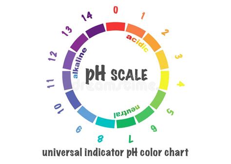 Escala Del Valor De Ph Para Las Soluciones Cidas Y Alcalinas