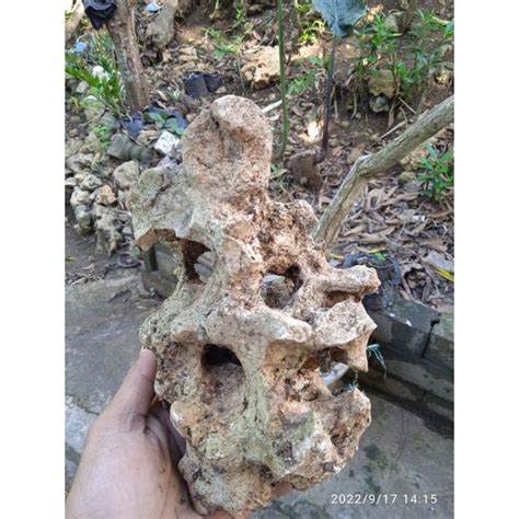 Jual Batu Karang Gunung Untuk Bonsai Dan Aquascape Shopee Indonesia