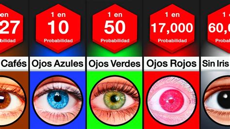 Comparación De Probabilidades Color De Ojos YouTube