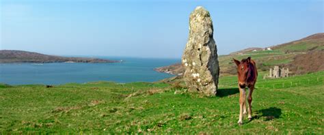 Clifden Castle - Attractions and Places to Visit in Connemara