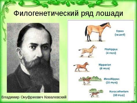 "Доказательства эволюции органического мира"