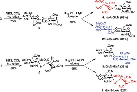 Scheme 2 Epimerization To Form All Four HS Core Disaccharides NBS