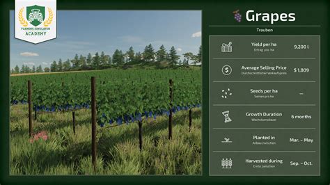 Farming Simulator 22 Crop Types Fs22 Mod