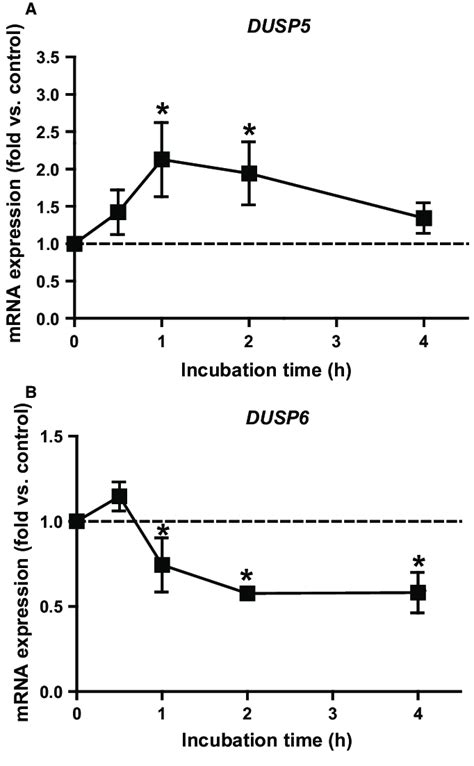 Effect Of Dex On DUSP5 And DUSP6 MRNA Expression At Day 6 Of