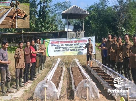 Perhutani Perhutani Banten Lakukan Komando Tabur Benih Jati Kbk