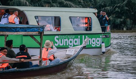 Naik Eco Cruise Sungai Linggi Percuma Terokai Habitat Buaya Caridotmy