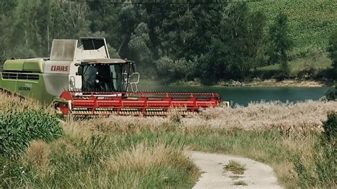 Moisson Colza Claas Convio Dans Un Paysage Du Lauragais Youtube