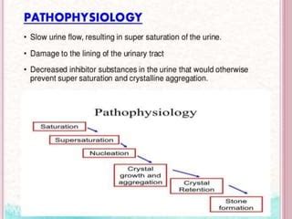 Renal Calculi PPT