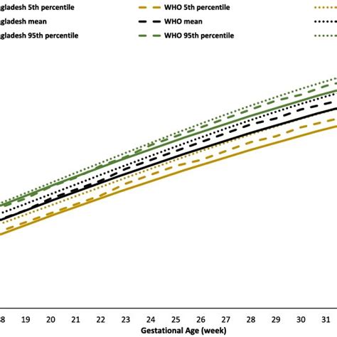 Comparison Of Abdominal Circumference Ac With Who [11] And Download Scientific Diagram